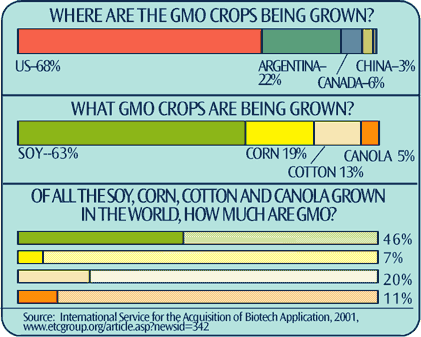 GM crops for human consumption.